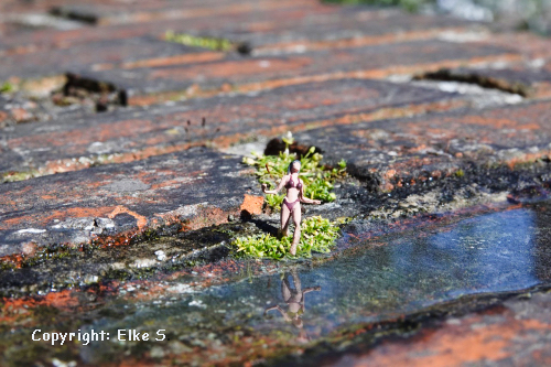 Elke S. 00001