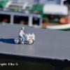 Elke S. 00004