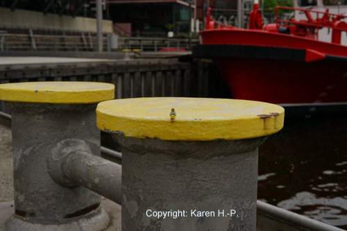 Karen H.-P. Kleine Welten 00003
