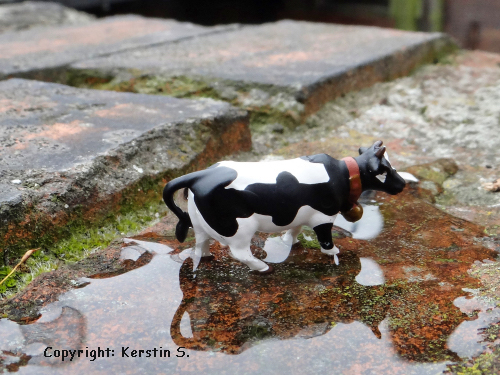 Kerstin S. 00007