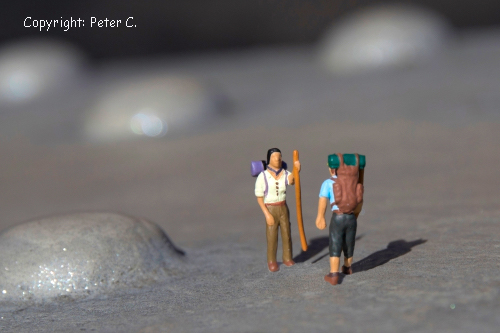 Peter C, 00003